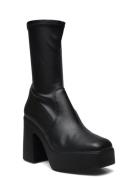 Low Phoenix Bootie Shoes Boots Ankle Boots Ankle Boots With Heel Black Steve Madden