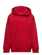 Kids Boys Sweatshirts Tops Sweatshirts & Hoodies Hoodies Red Abercrombie & Fitch