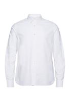 Harald Small Owl Oxford Regular Fit Tops Shirts Casual White Knowledge Cotton Apparel