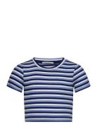 Cropped Striped Rib T-Shirt Tops T-Kortærmet Skjorte Blue Tom Tailor