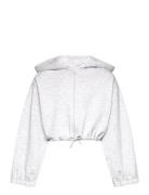 Cropped Hoody Jacket Tops Sweatshirts & Hoodies Hoodies Grey Tom Tailor