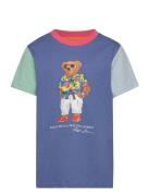 Polo Bear Color-Blocked Cotton Tee Tops T-Kortærmet Skjorte Multi/patterned Ralph Lauren Kids
