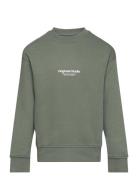 Jorvesterbro Sweat Crew Neck Noos Jnr Tops Sweatshirts & Hoodies Sweatshirts Khaki Green Jack & J S