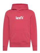 Levi's Poster Logo Pullover Hoodie Tops Sweatshirts & Hoodies Hoodies Red Levi's