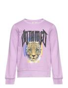 Kmglucinda Reg L/S Untamed Box Swt Tops Sweatshirts & Hoodies Sweatshirts Pink Kids Only