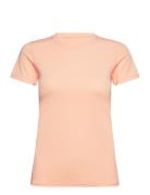 Jacquard Tee Sport T-shirts & Tops Short-sleeved Coral Röhnisch