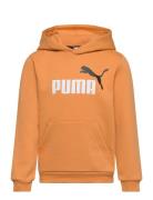 Ess+ 2 Col Big Logo Hoodie Fl B Sport Sweatshirts & Hoodies Hoodies Orange PUMA