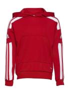 Squadra21 Hoody Youth Sport Sweatshirts & Hoodies Hoodies Red Adidas Performance