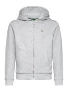Sweatshirts Sport Sweatshirts & Hoodies Hoodies Grey Lacoste