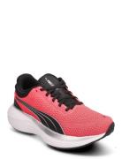 Scend Profoam Jr Sport Sports Shoes Running-training Shoes Coral PUMA