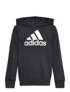 Lk Bl Ft Hd Sport Sweatshirts & Hoodies Hoodies Black Adidas Performance