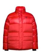 Midweight Down Puffer Jacket Sport Jackets Padded Jacket Red Adidas Originals