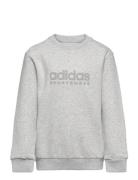 J Allszn Gfx Sw Sport Sweatshirts & Hoodies Sweatshirts Grey Adidas Performance