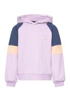 Hmlelly Hoodie Sport Sweatshirts & Hoodies Hoodies Purple Hummel