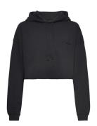 Pro Cropped Sweat Hoodie Tops Sweatshirts & Hoodies Hoodies Black H2O Fagerholt