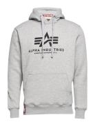 Basic Hoodie Designers Sweatshirts & Hoodies Hoodies Grey Alpha Industries