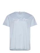 Crv Reg C-Nk Signature Tee Ss Tops T-shirts & Tops Short-sleeved Blue Tommy Hilfiger