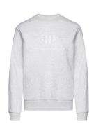 Reg Tonal Shield C-Neck Sweat Tops Sweatshirts & Hoodies Sweatshirts Grey GANT