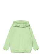 College Hoodie Tops Sweatshirts & Hoodies Hoodies Green Gugguu