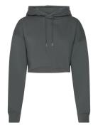 Studio Over D Cropped Hoodie Tops Sweatshirts & Hoodies Hoodies Grey Björn Borg