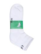 Backtee Ankle Sock  Sport Socks Footies-ankle Socks White BACKTEE