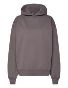 W. Paradise Oslo Hoodie Tops Sweatshirts & Hoodies Hoodies Grey HOLZWEILER