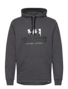 Arctic Ocean Hoodie Tops Sweatshirts & Hoodies Hoodies Grey Helly Hansen