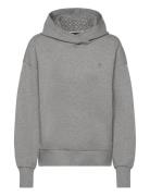 Erkunden2 Tops Sweatshirts & Hoodies Hoodies Grey BOSS