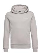 Ckj Stack Logo Hoodie Tops Sweatshirts & Hoodies Hoodies Grey Calvin Klein