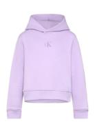 Ck Logo Boxy Hoodie Tops Sweatshirts & Hoodies Hoodies Purple Calvin Klein