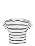 Woven Label Rib Baby Tee Tops T-shirts & Tops Short-sleeved Multi/patterned Calvin Klein Jeans