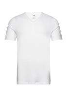 V-Neck Sport T-Kortærmet Skjorte White Adidas Underwear