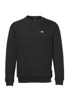 Oakport Sweatshirt Designers Sweatshirts & Hoodies Sweatshirts Black Dickies