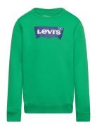 Levi's® Batwing Crewneck Sweatshirt Tops Sweatshirts & Hoodies Sweatshirts Green Levi's