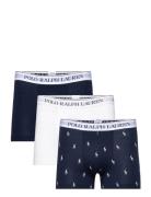 Classic Stretch-Cotton Trunk 3-Pack Boxershorts Navy Polo Ralph Lauren Underwear