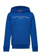 U Corp Logo Ess Hoodie Tops Sweatshirts & Hoodies Hoodies Blue Tommy Hilfiger