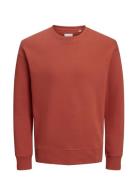 Jjestar Basic Sweat Crew Neck Tops Sweatshirts & Hoodies Sweatshirts Red Jack & J S