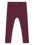 Cozy Me Frill Pants Baby Bottoms Leggings Burgundy Müsli By Green Cotton