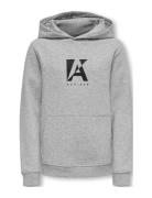 Kobnorman L/S Project Hoodie Swt Tops Sweatshirts & Hoodies Hoodies Grey Kids Only