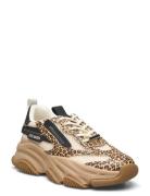 Possession-E Sneaker Low-top Sneakers Beige Steve Madden