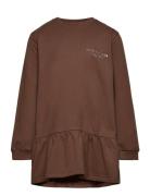 Sweat Dress Brushed W. Ls Dresses & Skirts Dresses Casual Dresses Long-sleeved Casual Dresses Brown Copenhagen Colors