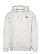 Ri Left Chest Logo H Sport Sweatshirts & Hoodies Hoodies Grey Reebok Performance
