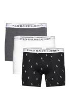 Stretch Cotton Boxer Brief 3-Pack Boxershorts Black Polo Ralph Lauren Underwear