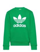 Trefoil Crew Tops Sweatshirts & Hoodies Sweatshirts Green Adidas Originals