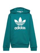 Trefoil Hoodie Tops Sweatshirts & Hoodies Hoodies Green Adidas Originals