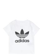 Trefoil Tee Tops T-Kortærmet Skjorte White Adidas Originals