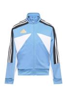 J Np Ttop Tops Sweatshirts & Hoodies Sweatshirts Blue Adidas Sportswear