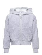 Sweatshirt Velour With Hoodie Tops Sweatshirts & Hoodies Hoodies Grey Lindex