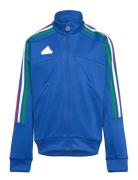 J Np Ttop Sport Sweatshirts & Hoodies Sweatshirts Blue Adidas Sportswear