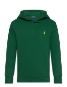 Seasonal Fleece-Ls Po Hood-Tp-Knt Tops Sweatshirts & Hoodies Hoodies Green Ralph Lauren Kids